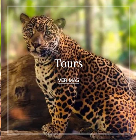 Tours en Costa Rica